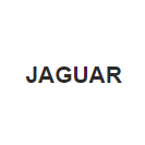 Передняя противотуманная фара для JAGUAR